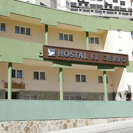 Affittacamere El Ciervo