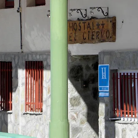 El Ciervo Affittacamere 2*