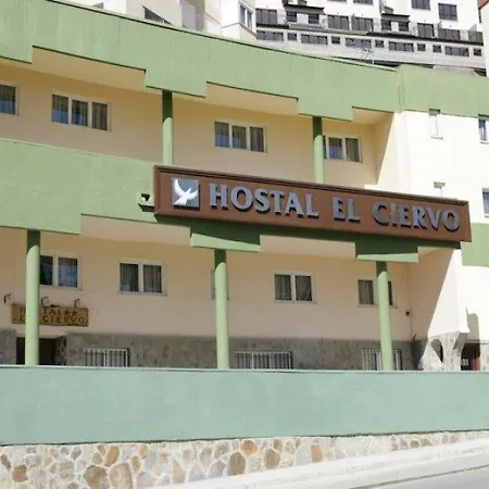 El Ciervo Gæstehus 2*