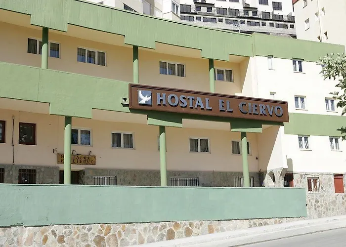 Casa de hóspedes El Ciervo