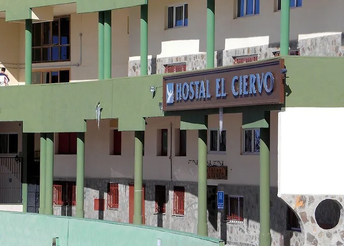 Casa de hóspedes El Ciervo