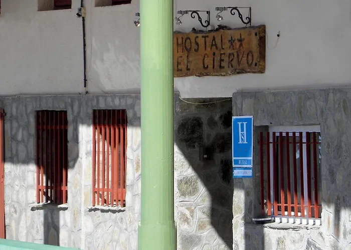 El Ciervo Casa de hóspedes 2*