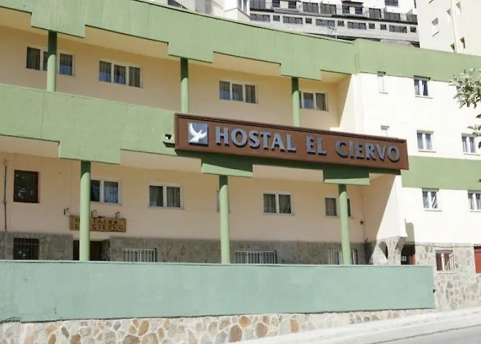 El Ciervo Casa de hóspedes 2*