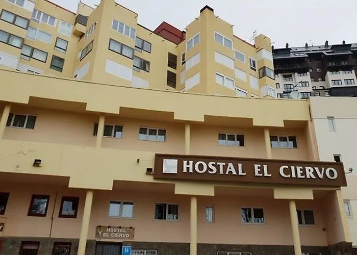 Casa de hóspedes El Ciervo