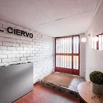 El Ciervo 2*